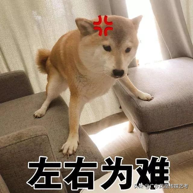 全国传媒培训机构排名,传媒培训机构推荐
