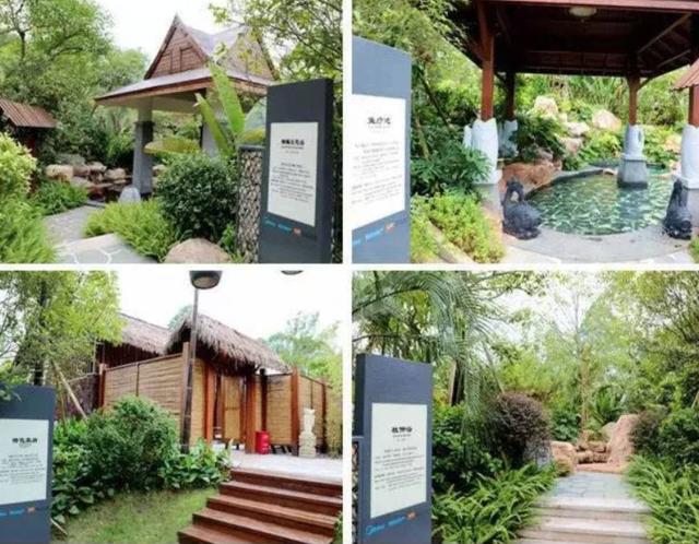 旱雪滑雪感觉,旱雪滑雪怎么玩