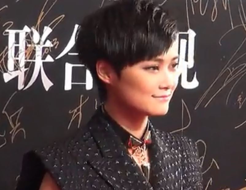 李宇春成功的视频,李宇春创造的奇迹