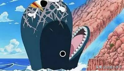 onepiece是真实存在的在哪一集,onepiece是真的吗海贼王