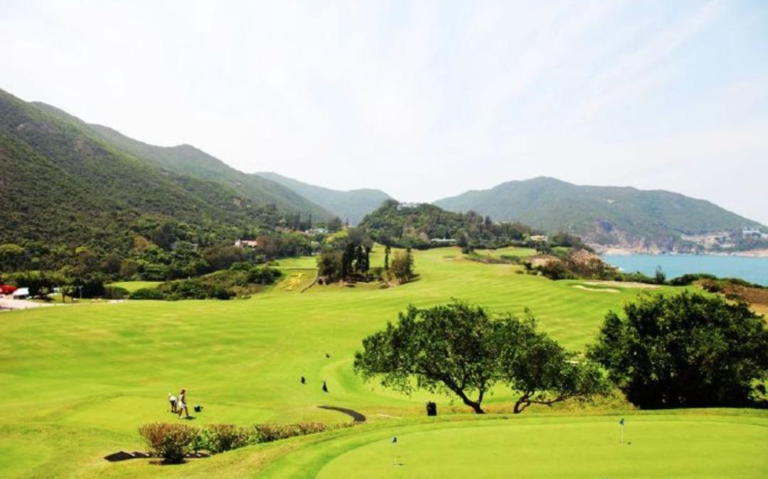 喜宝被老头打后续,喜宝喜欢石澳岛吗