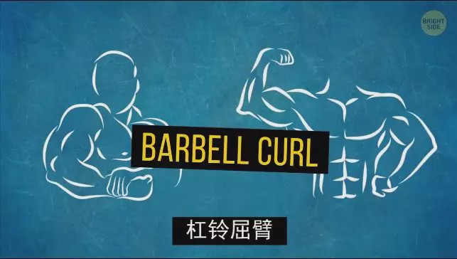 怎么练手臂的肱三头,怎么才能练出手臂的肱三头肌