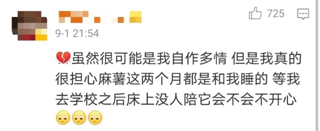 “因为一句话，我家猫在监控前守了一夜，彻夜未眠”