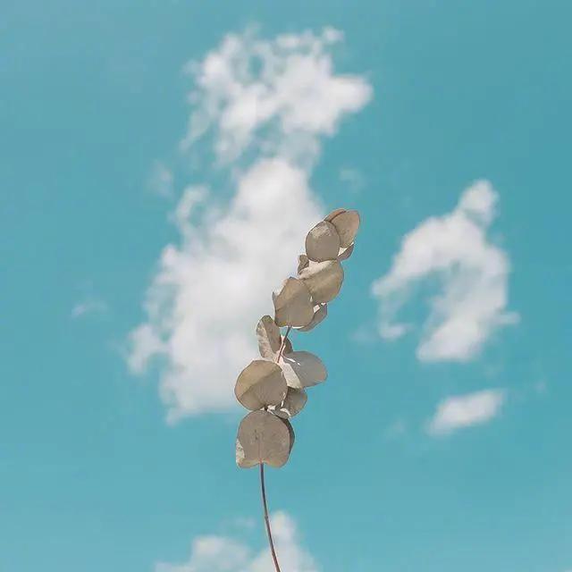 要对生活有希望的句子,一定要对生活充满阳光