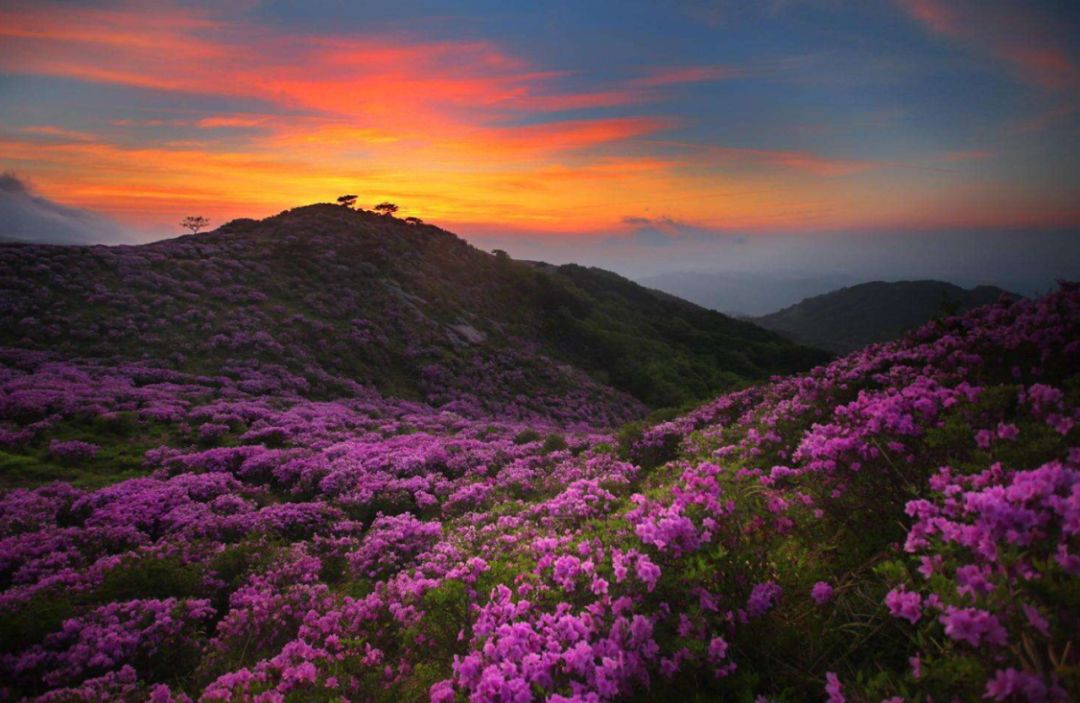 收好这份云南最新5a景区名单,云南的5a级景区有哪些