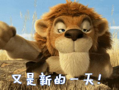 老外评价各国留学生,外国人看上中国留学生样貌