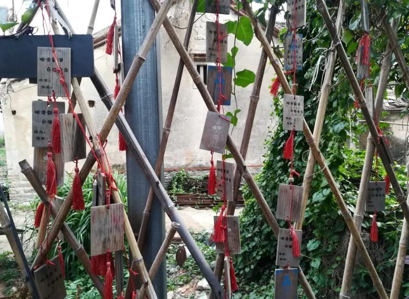 寻梦云水谣，探访福建南靖土楼，漫步厦门大学