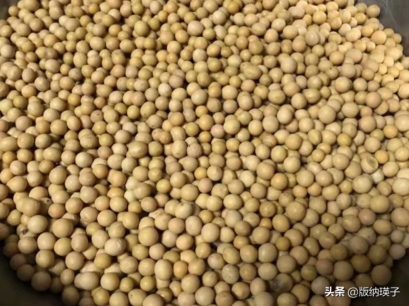 自制豆豉辣椒酱的家常做法,自制豆豉要蒸多久