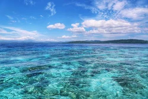 全国治疗宫颈癌最好的医院是哪里,广东省治疗宫颈癌最好的医院排名