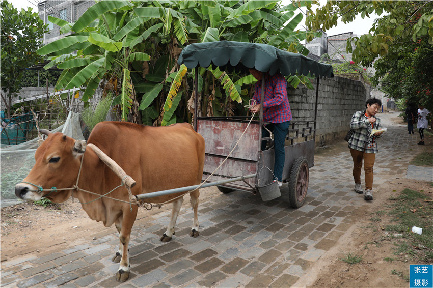 春节南宁周边小众景点,南宁小众打卡地