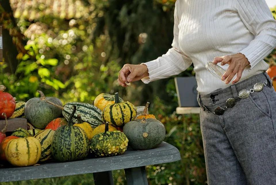 荷兰人身体素质,荷兰人素质怎么样
