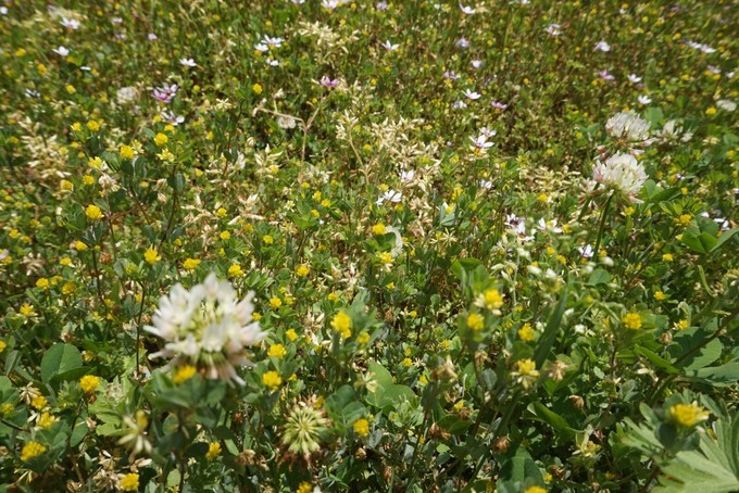 大阪蹦迪酒吧,京都大阪烧