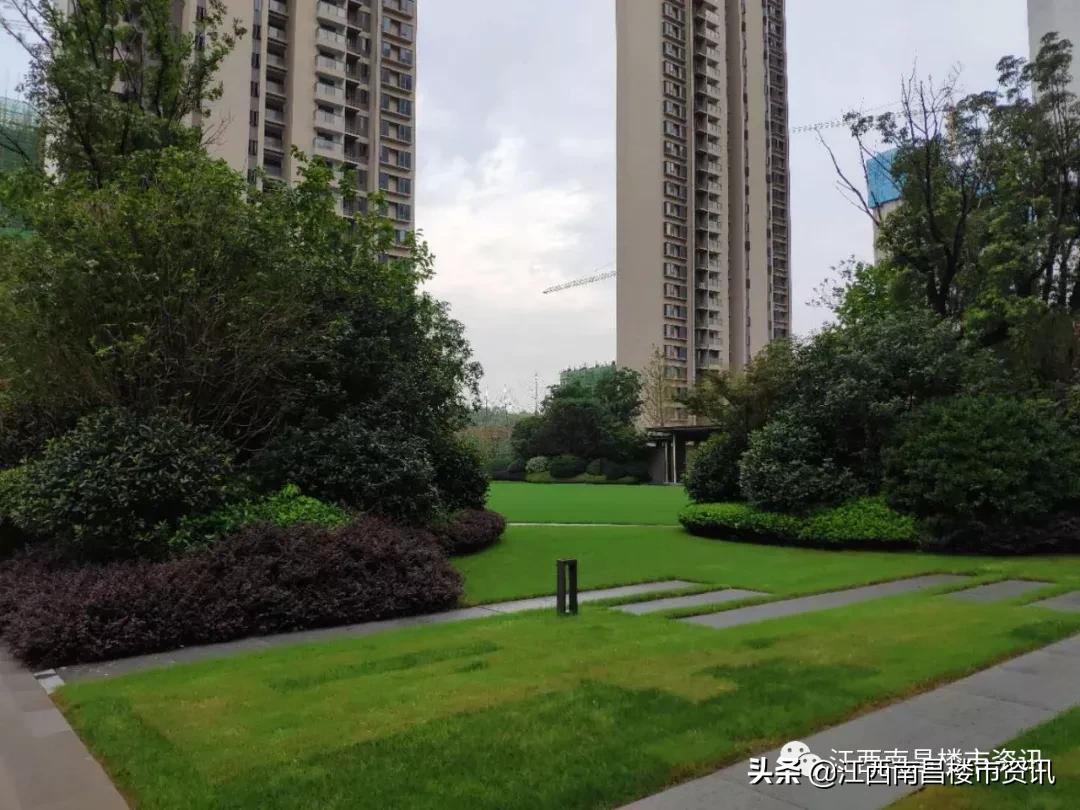 新力东园能交房吗,新力东园还有房在卖吗