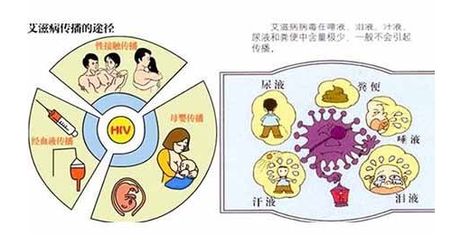 简述艾滋病的传播途径,艾滋病怎么才能知道是否传染