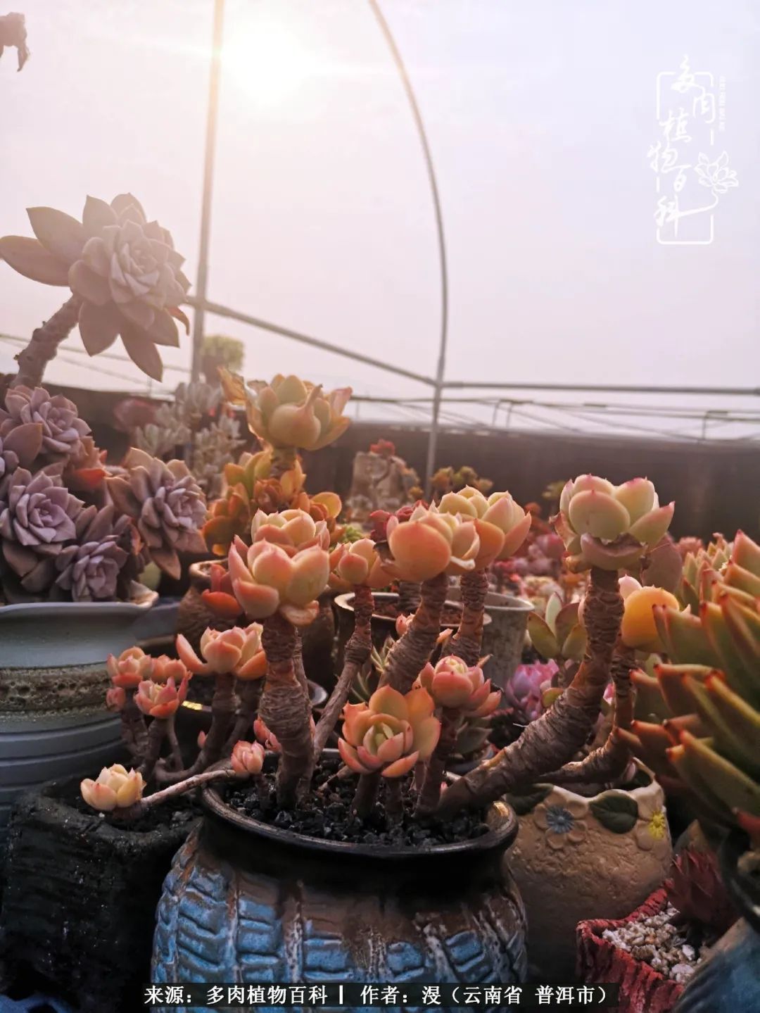 风过留痕讲的啥,风过留痕朗诵