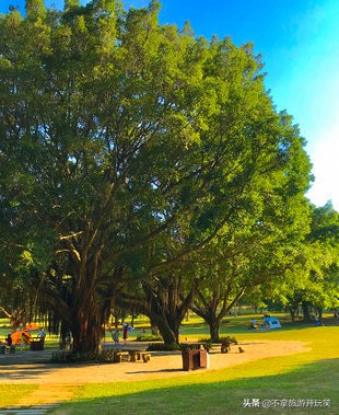 东莞植物园美丽好风景,东莞植物园有什么风景