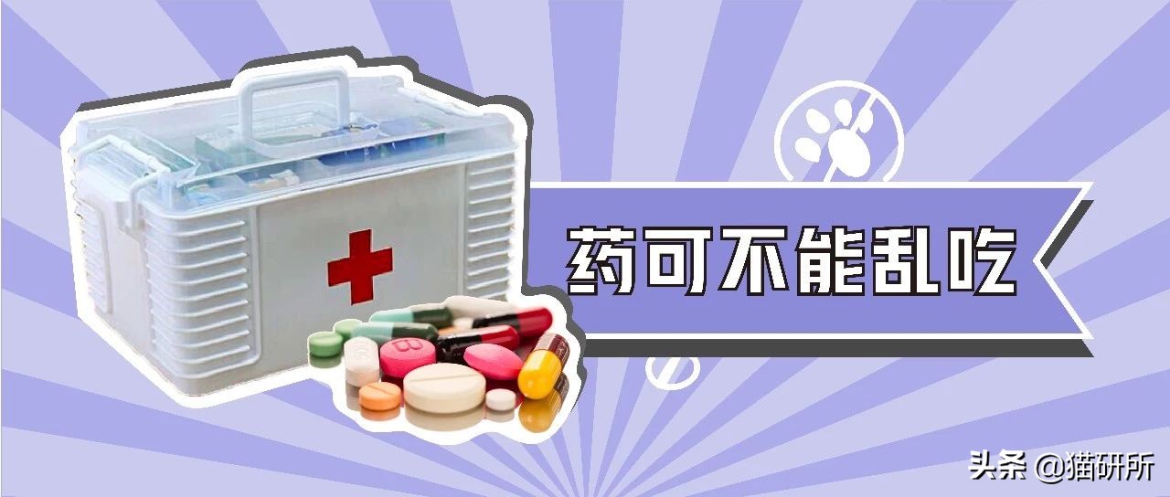 给猫粮投毒辟谣,猫吃人用感冒药吗