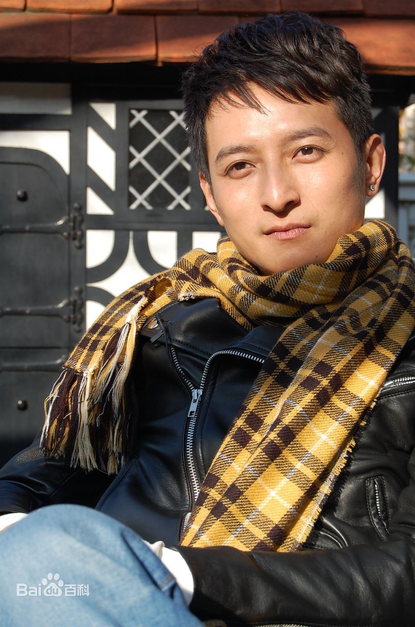 从开始到现在李维嘉,李维嘉以前的样子