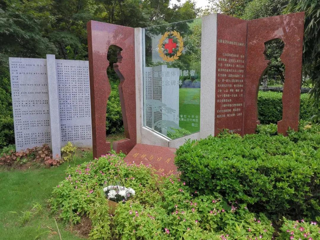 88岁老人离世捐遗体,8旬老人遗体捐献的光辉故事