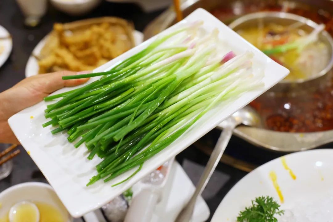 这是大多数人不知道的重庆。一场治愈系度假，解锁一个隐世花园