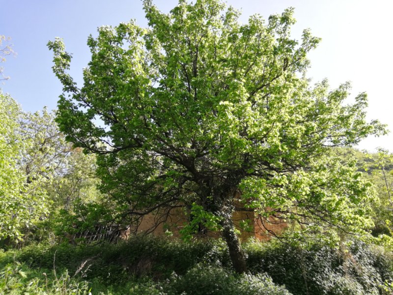 外婆家的老房子满满的回忆,外婆家的老房子没有房产证