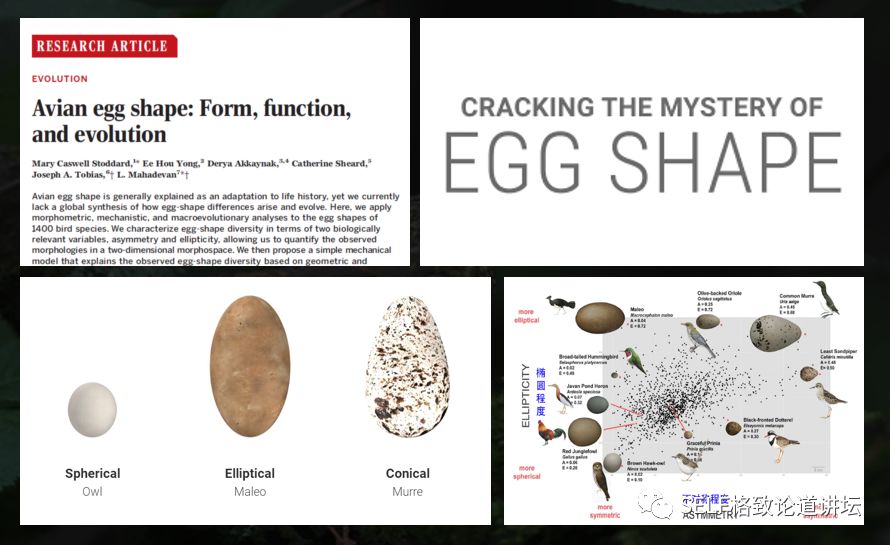 科学家如何视察植物,鸟类的研究方法