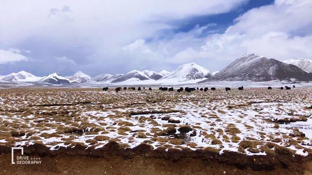地理中国认识自然的感悟,你怎么看待中国的自然地理环境