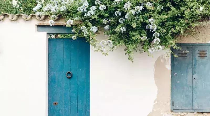 描写夏天风景的好词好句好段,有鸽子的夏天好词好句好段