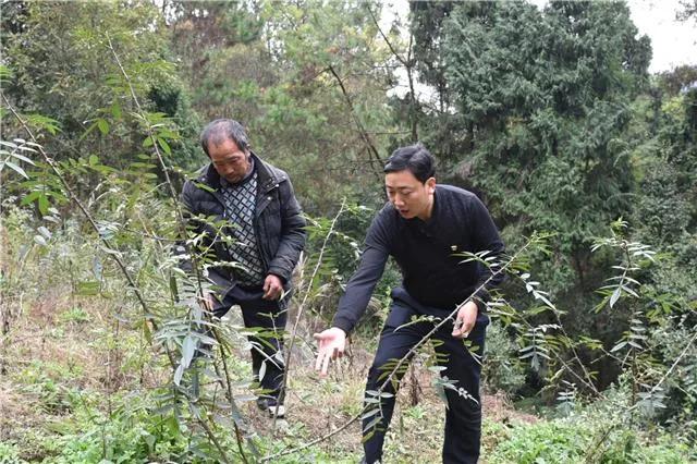 我的扶贫故事完整版张羽,我的扶贫经历和故事