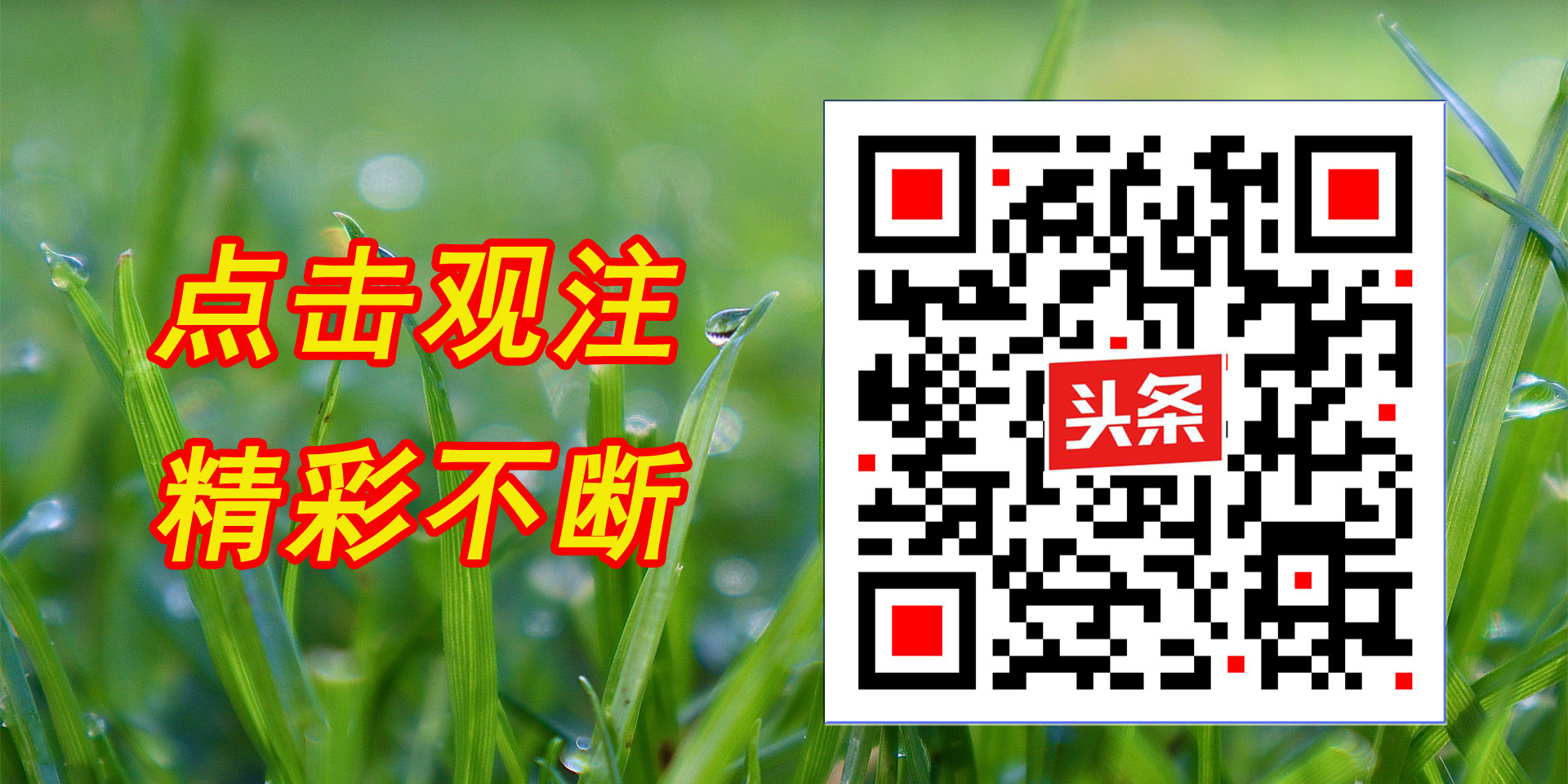 瀹堟姢鏍″洯鐤儏闃叉帶,鎶楃柅鍖绘姢浜哄憳瀹堟姢鏍″洯