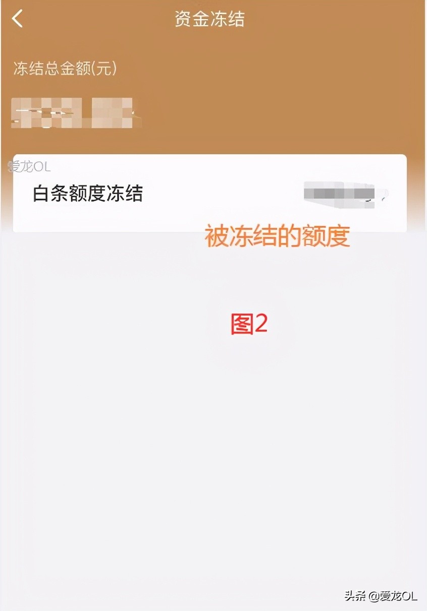 京东小金库冻结的钱怎样转出来,京东开白条冻结的小金库怎么解冻