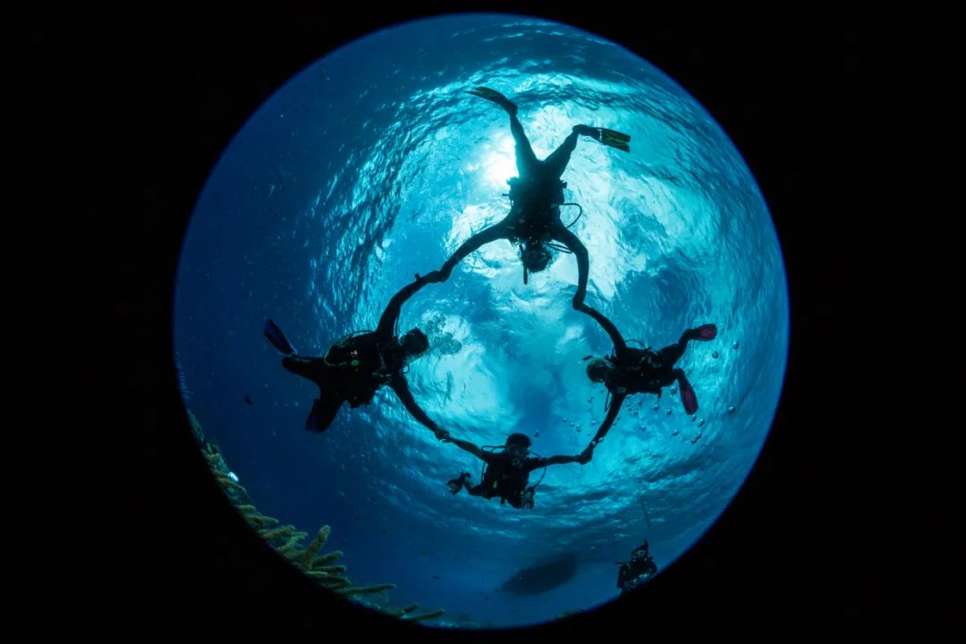 你多久没潜水了？做好这些，重燃对潜水的热情