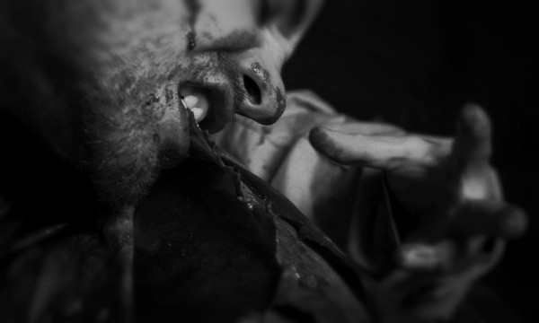 都市传说血藤实验,冰冻人体实验有成功复活的吗