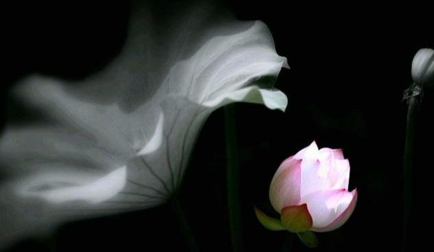 易经说：一个家庭常出变故？十有八九是出了4个“怪人”，要关注