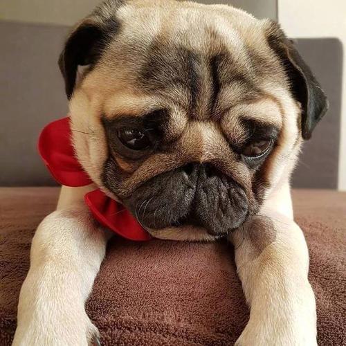 韩束美白补水晚安睡眠面膜,韩束熬夜面膜去黄提亮