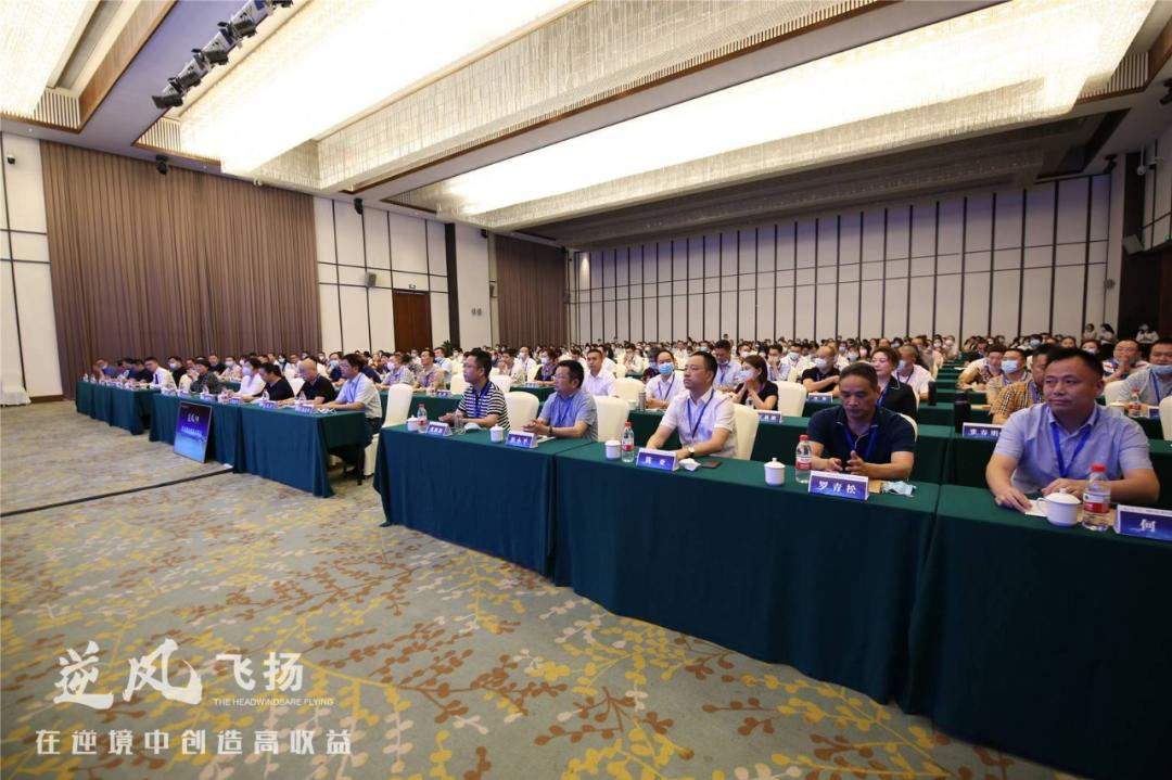 应对疫情支持企业发展措施,应对疫情有效促进经济平稳增长