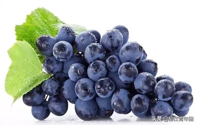 水果关注事项及禁忌,空腹吃水果胃疼怎么缓解