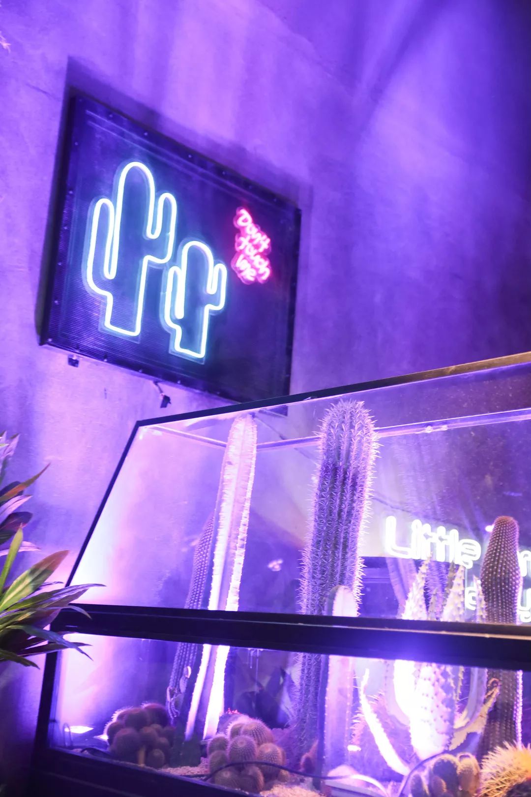 成都网红小酒馆凭什么火爆出圈,成都最火小酒馆