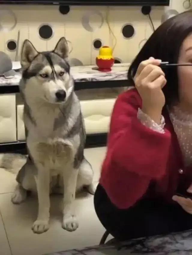 丹凤眼好看还是桃花眼,大家觉得丹凤眼好看还是桃花眼