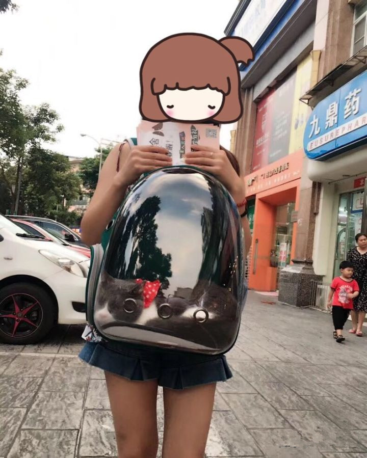 怎样避免买到星期猫,怎么判断是不是买到了星期猫