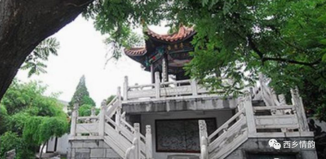 文龙：我与古井贡酒的三醉之情缘