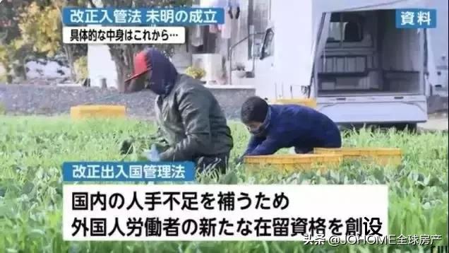 「日本●移民」为什么一直给你推荐小日子过的不错的日本？