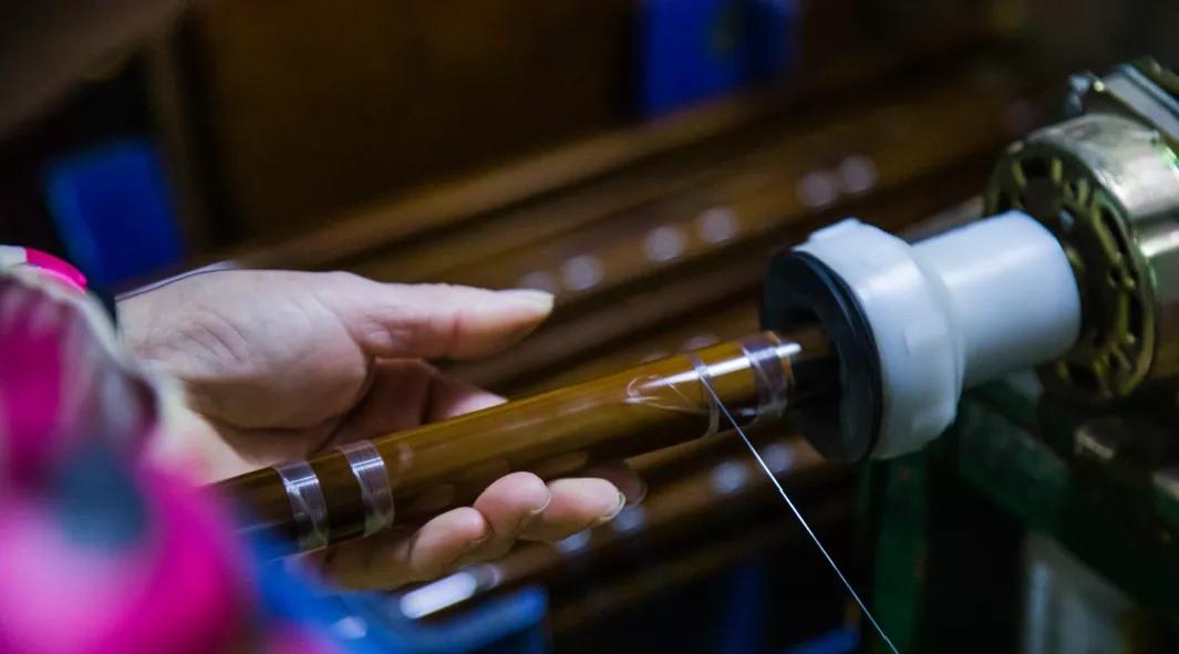 去稻田、赏竹林、上水库，带你深挖“竹”深不知处的中泰