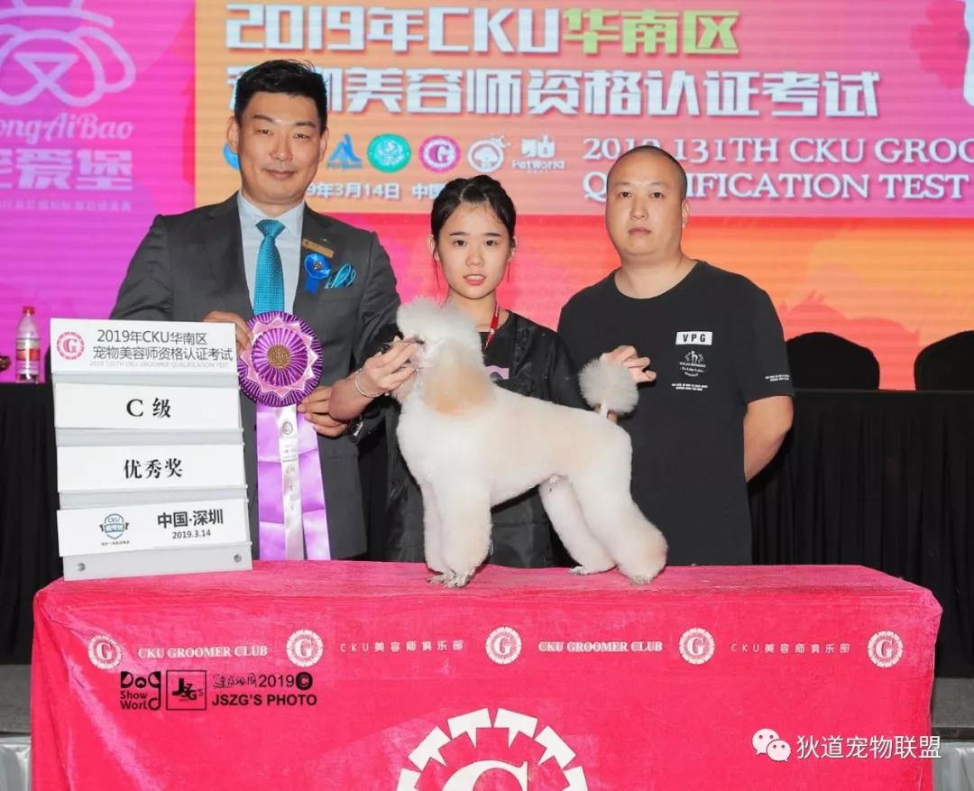 深圳宠物美容培训学校排名,壹择宠物美容培训学校