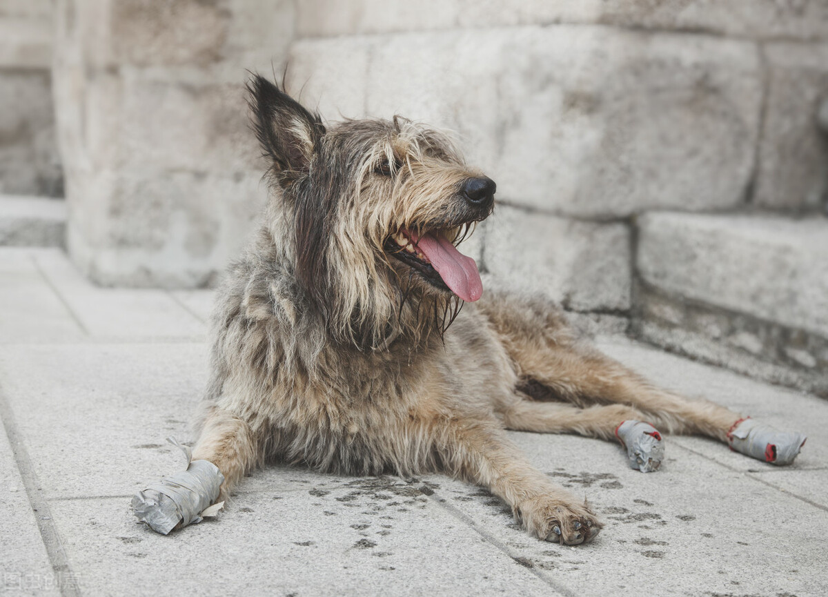 亚马逊怎么彻底防止跟卖,亚马逊怎样防止跟卖