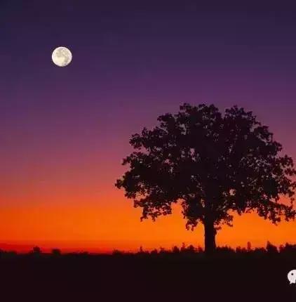 女儿国国王朱琳演唱女儿情完整版,女儿国朱琳朗诵致橡树