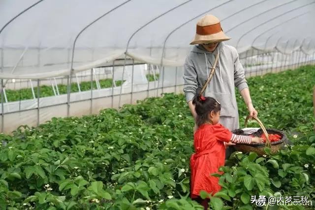 无顶防晒草帽最新款,海边今年最洋气的黄色防晒草帽