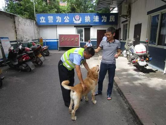 狗狗跑丢怎样找,狗狗走丢找回视频