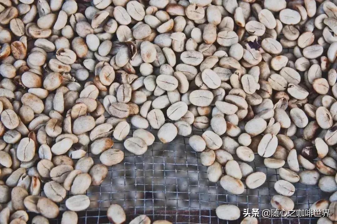 咖啡豆的好坏该怎样分辨,怎样购买咖啡豆质量好坏