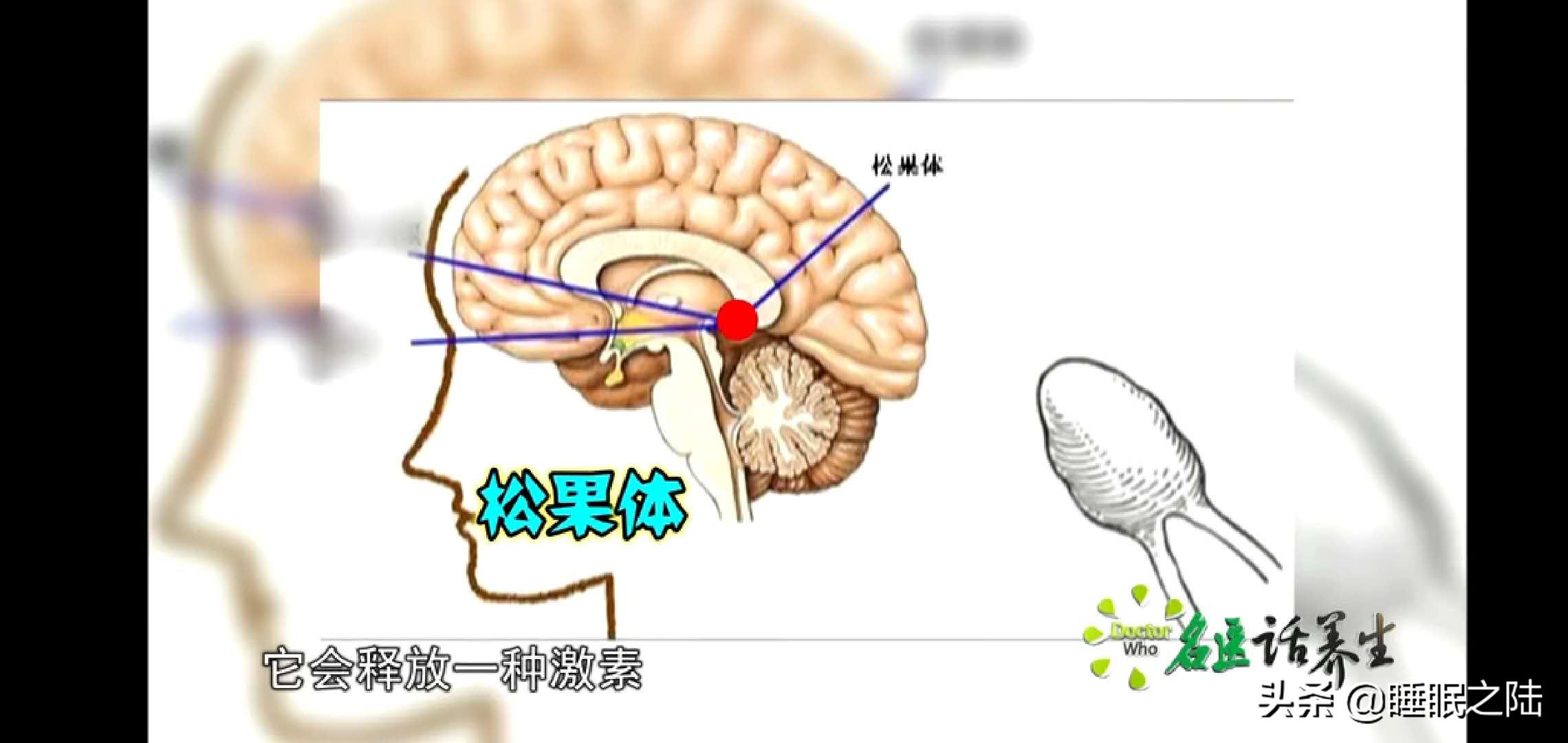 朱元璋治病偏方大全,朱元璋的中草药